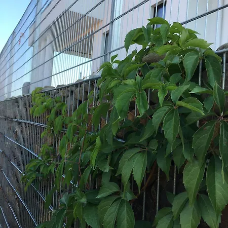 Zephyrus зефір Gasthuis