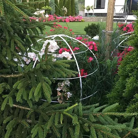 بيت ضيافة Zephyrus зефір 4*