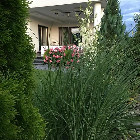 Zephyrus зефір 4*