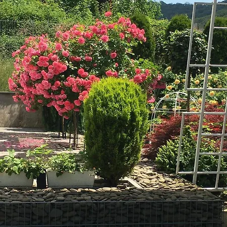 Gasthuis Zephyrus зефір Golubinoye