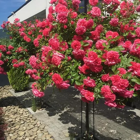 بيت ضيافة Zephyrus зефір