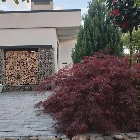 Zephyrus зефір 4*