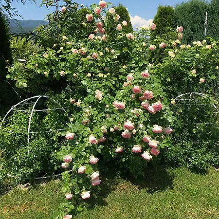 بيت ضيافة Zephyrus зефір Golubinoye