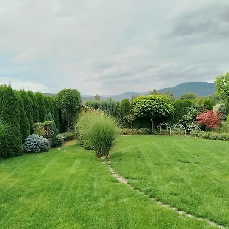 Zephyrus зефір Golubinoye