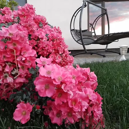 Zephyrus зефір Gasthuis