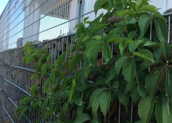 Zephyrus зефір 招待所