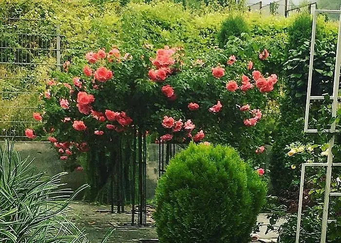 招待所 Zephyrus зефір Golubinoye