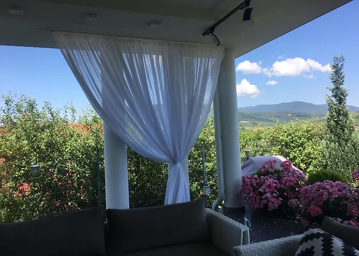 Zephyrus зефір 招待所 Golubinoye