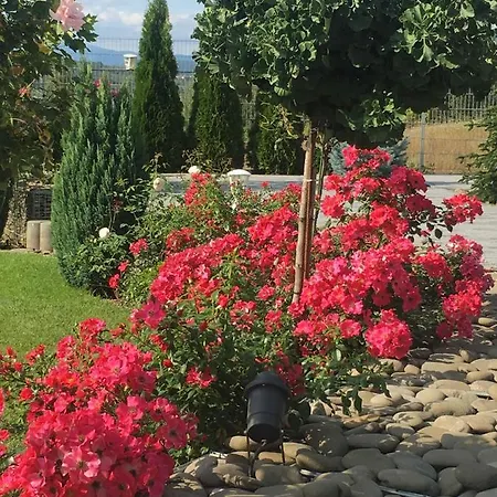 Zephyrus зефір Guest house