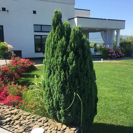Zephyrus зефір Guest house